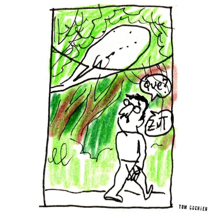 - Tom Cochien - Montréal Frénésiepage 11