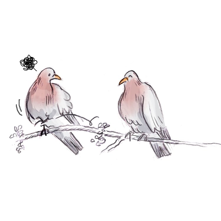  GWN - Drame pigeonnant. page 4