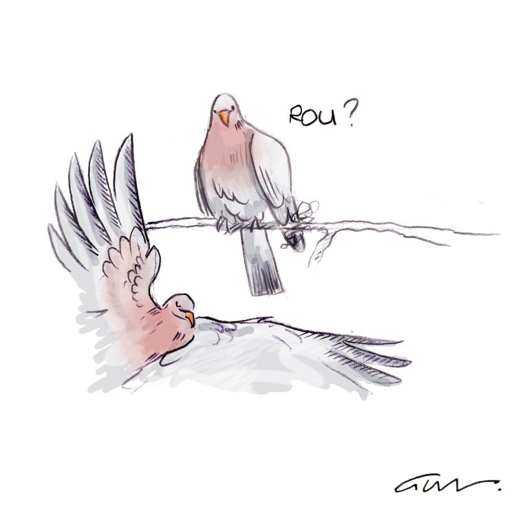  GWN - Drame pigeonnant. page 6