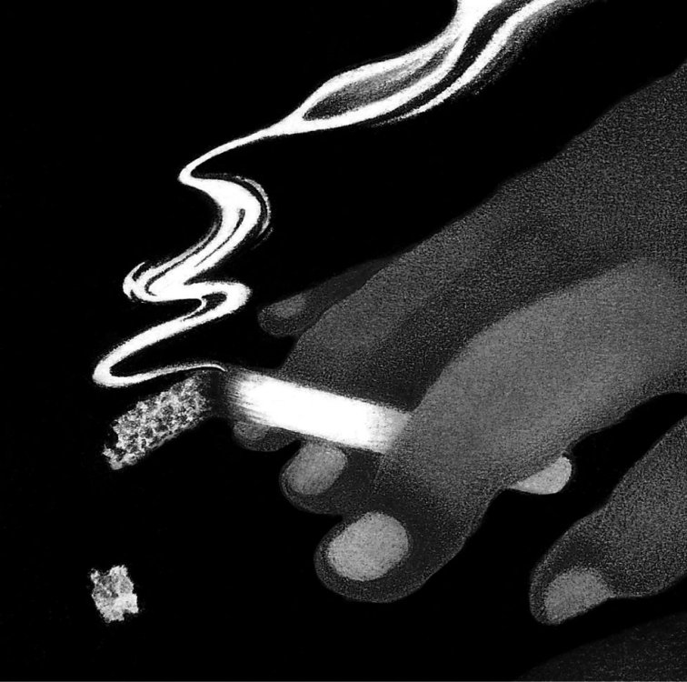  oimizi -  Île (titre provisoire)page 3