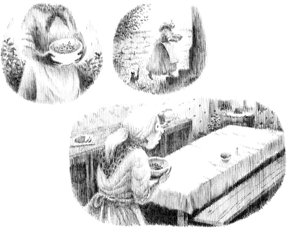 Paul B - Où sont les enfants ?page 11